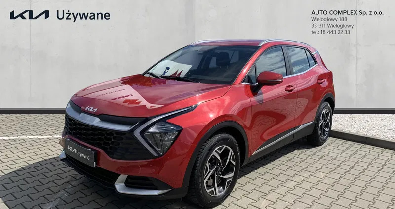 czarna woda Kia Sportage cena 108900 przebieg: 19010, rok produkcji 2023 z Czarna Woda